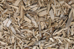 biomass boilers Penyfeidr