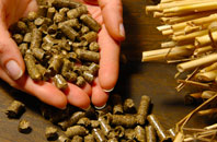 free Penyfeidr biomass boiler quotes